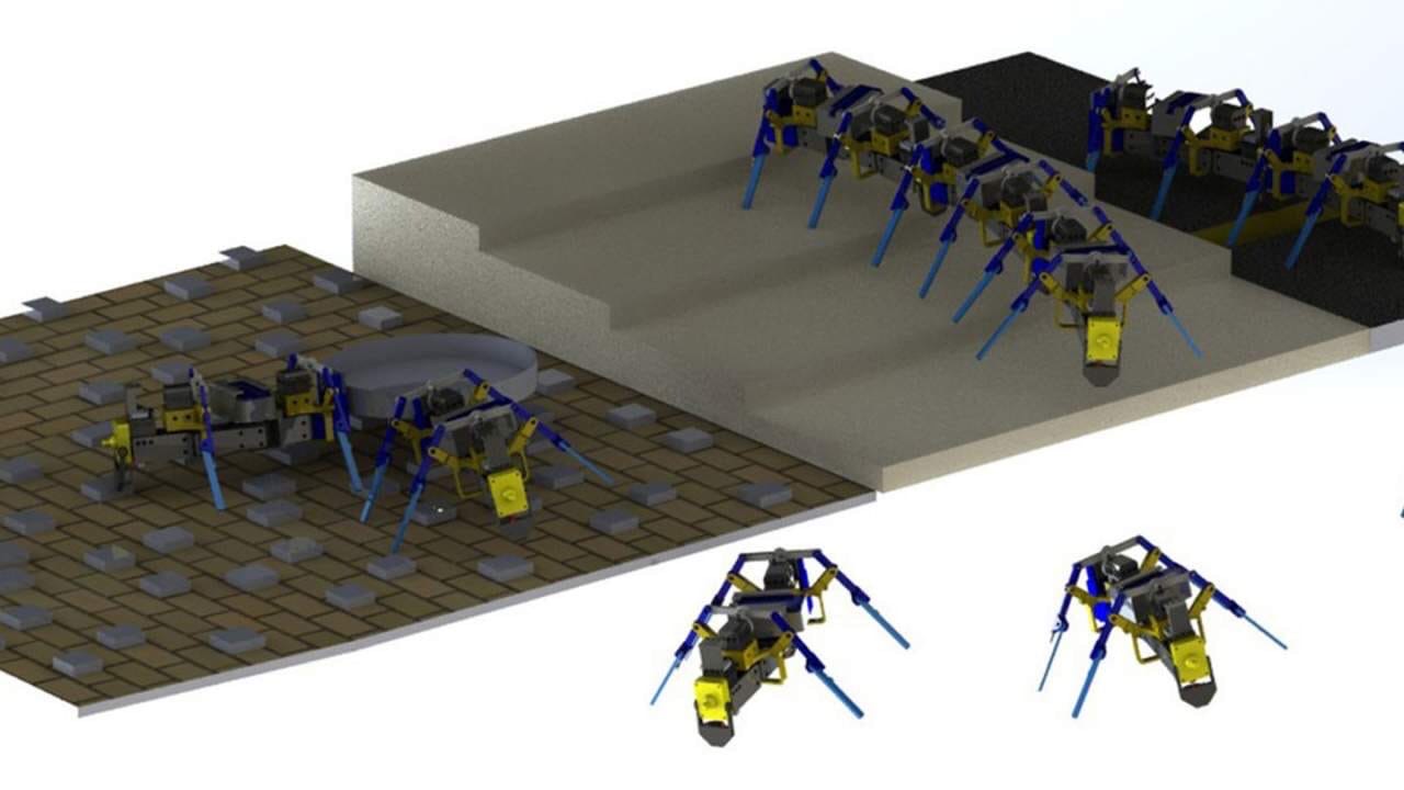 Инженер из Университета Нотр-Дам Ясемин Озкан-Айдын создала роботизированных муравьев, которые оказались способны на совместную работу, умеют преодолевать различные препятствия и маневрировать. 