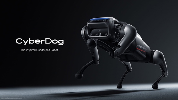 Xiaomi анонсировала своего первого робопса - CyberDog: