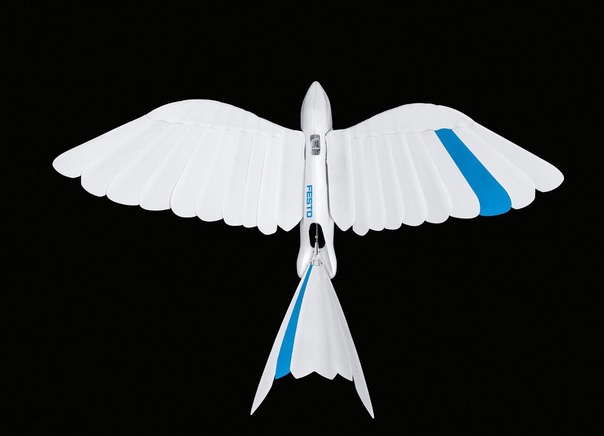 BionicSwift - бионический робот, способный летать, используя при этом искусственные перья и ориентацию в пространстве с помощью технологии GPS. 