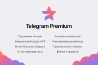Стала известна стоимость подписки Telegram Premium, она составит 379 рублей в месяц.