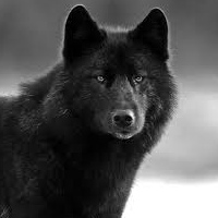 Black Wolf, 24 года, Москва, Россия