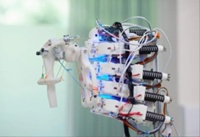 Исследователи из Оксфордского университета и робототехнической фирмы Devantro вырастили и натренировали мышечные клетки, интегрированные в скелет антропоморфного робота с целью последующей пересадки пациенту.